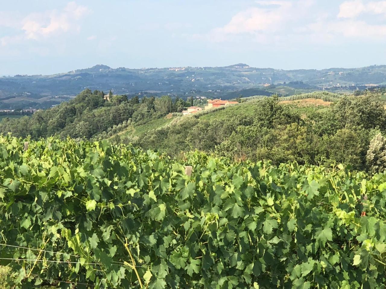 Agriturismo L'Olmo San Gimignano Eksteriør billede