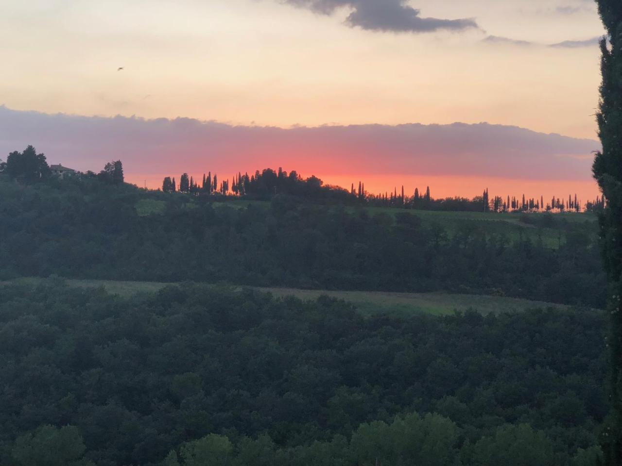 Agriturismo L'Olmo San Gimignano Eksteriør billede