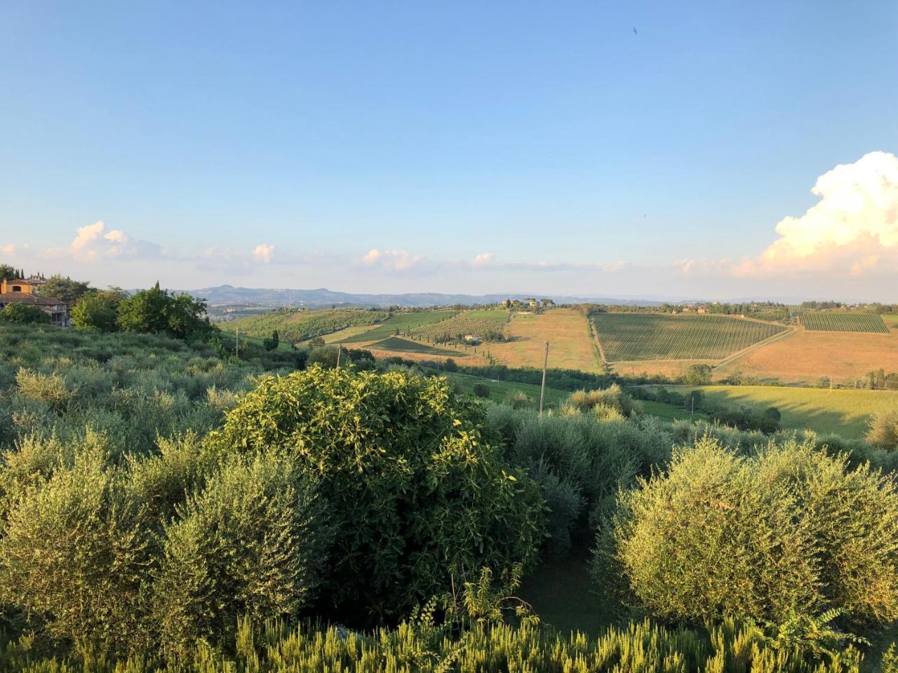 Agriturismo L'Olmo San Gimignano Eksteriør billede